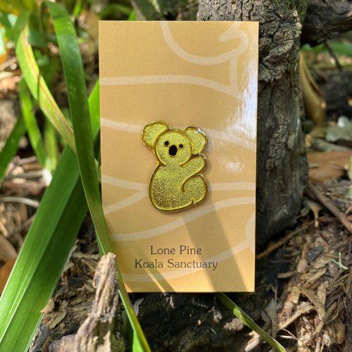 Souvenir Koala Pin - Gold