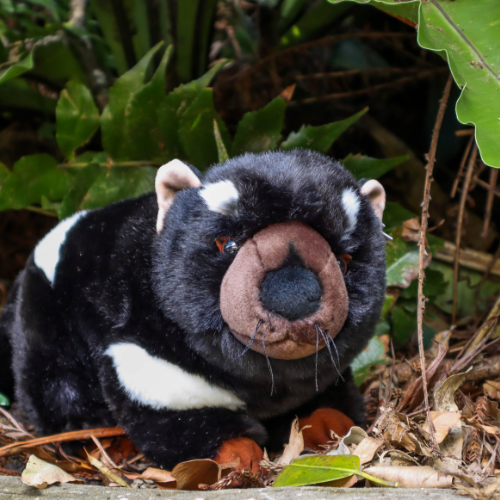 Diego the Tasmanian Devil