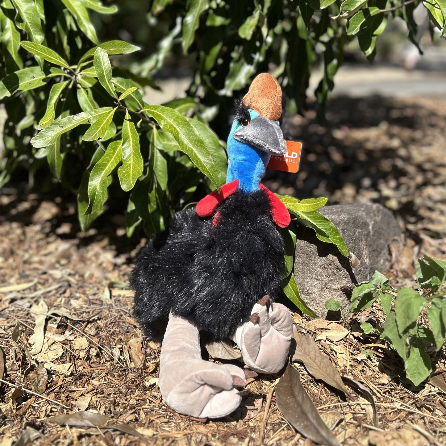 Cassowary Plush