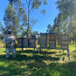 Lone Pine Koala Sanctuary - Honey