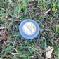 Lone Pine Souvenir Gold Coins