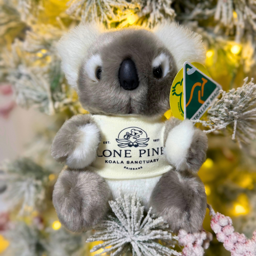 Lone Pine Koala Sanctuary Koala Plush Toy