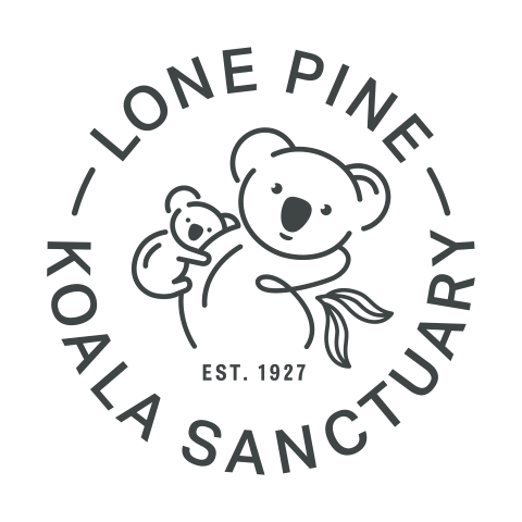 Lone Pine Koala Sanctuary - Gift Shop