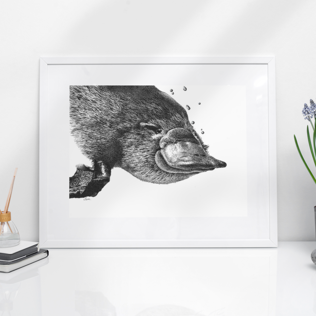 Platypus ‘Aroona’ Print