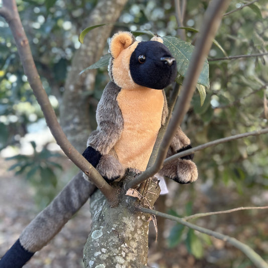 Tree Kangaroo Plush