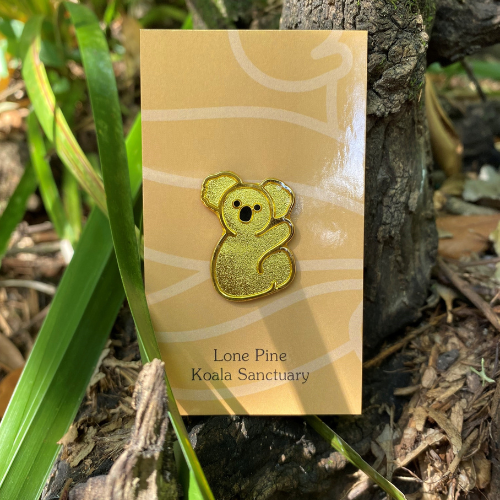 Koala Hugger Pin - Gold