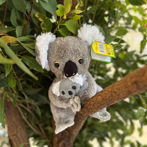 Koala & Joey Plush - Australian Made